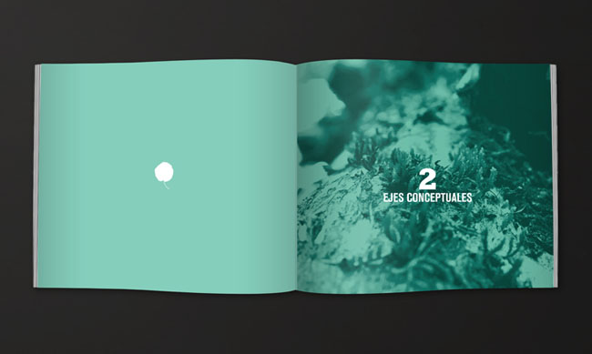 以大自然為主題的畫冊設(shè)計(jì)欣賞