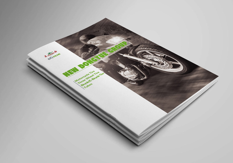 濟(jì)南天橋區(qū)畫冊設(shè)計