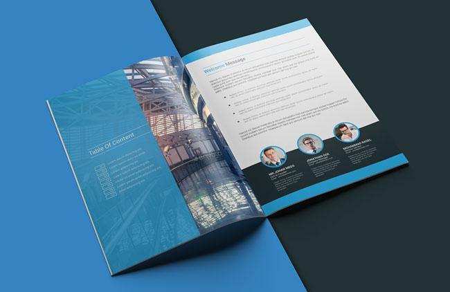 商務(wù)畫冊設(shè)計欣賞