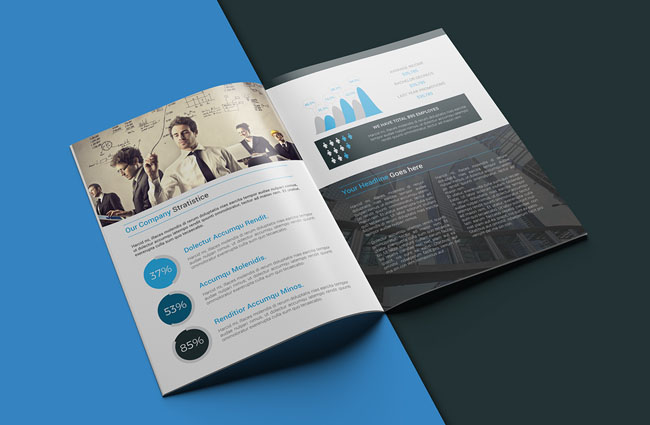 商務(wù)畫冊設(shè)計欣賞