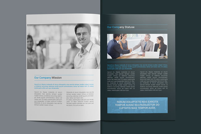 商務(wù)畫冊設(shè)計欣賞