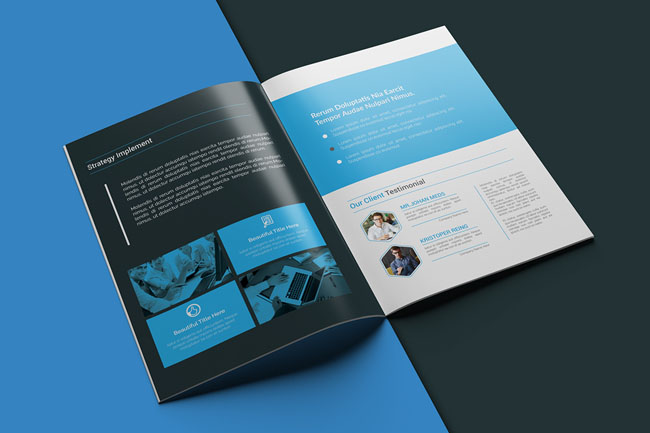 商務(wù)畫冊設(shè)計欣賞