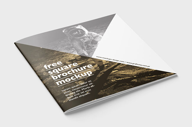 2017畫(huà)冊(cè)設(shè)計(jì)欣賞