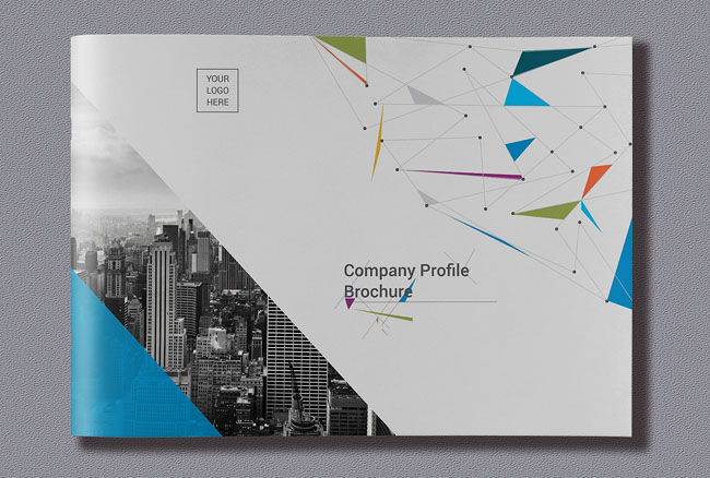 企業(yè)畫冊設計欣賞