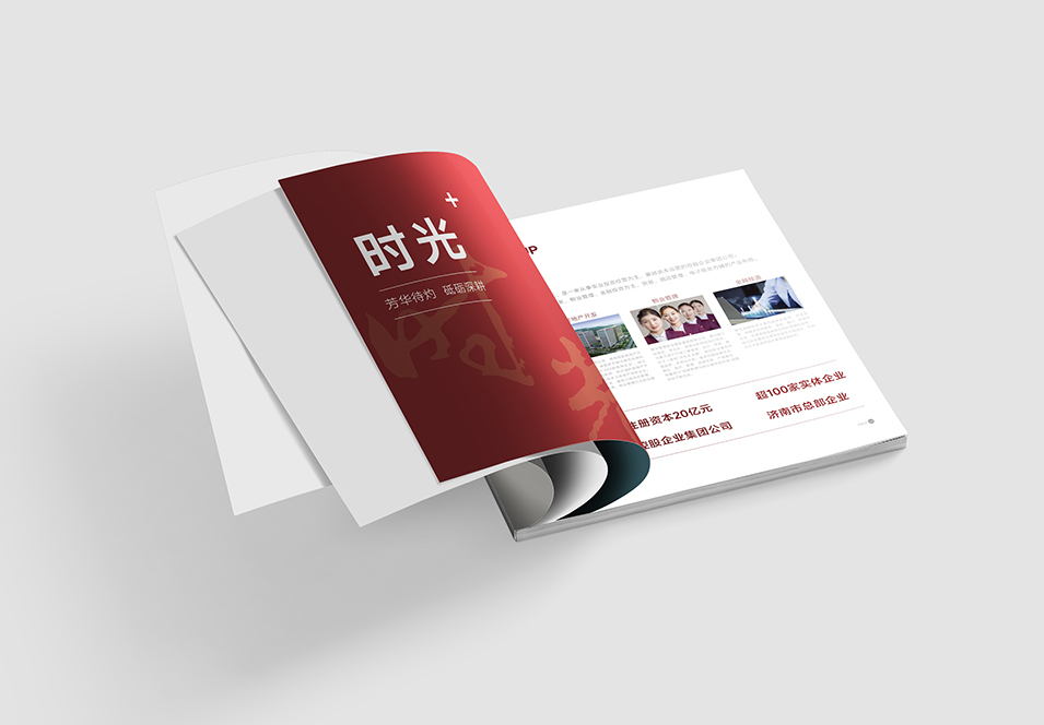 銀豐生物集團(tuán)企業(yè)畫冊設(shè)計(jì)