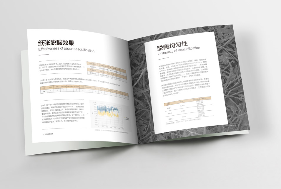 邁越文保宣傳畫(huà)冊(cè)設(shè)計(jì)